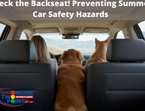 Check the Backseat! Preventing Summer Car Safety Hazards