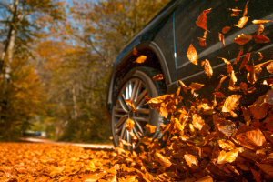 A car wheel kicking up orange autumn leaves on a road surrounded by trees.